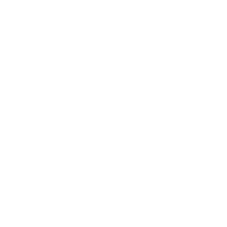 Icono MMA